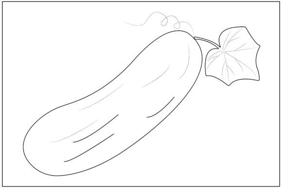 Aesthetic Cucumber Vegetable Line Art