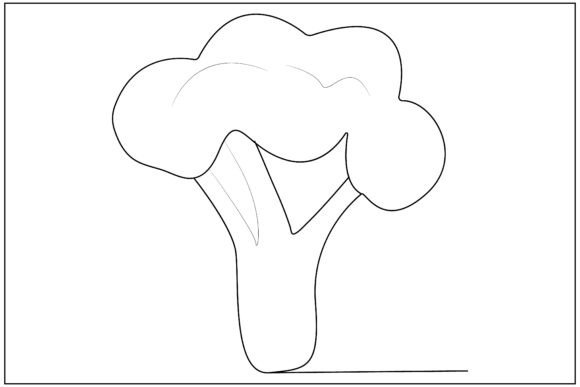 Broccoli Line Art Review