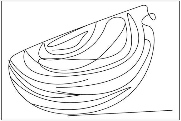 Cabbage Slice Line Art