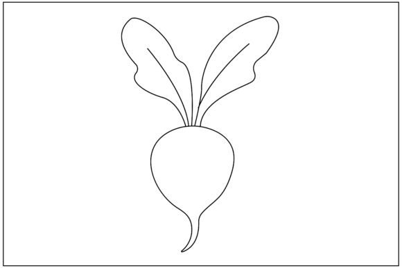 Radish Leaf Line Art Review