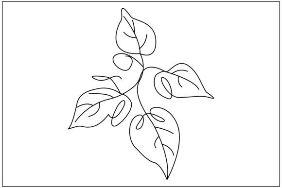 Sweet Potato Leaf Line Art Review
